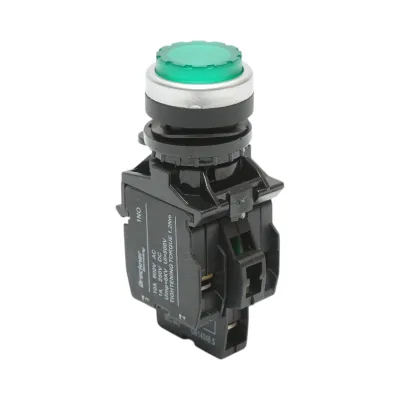 Buton comanda iluminat convex LED 220V AC verde cu revenire 1NO+1NC, 10A/600V AC, 1A/250V DC LA42 Breckner Germany