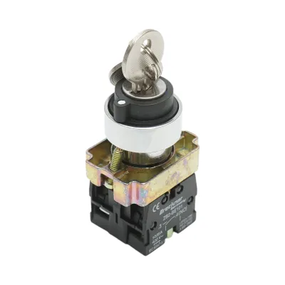 Selector 3 pozitii cu retinere si cheie 2NO, 400V/10A, LAY5-BG33 Breckner Germany - imagine 2