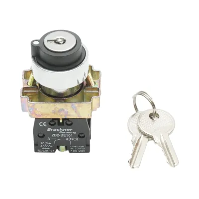 Selector 3 pozitii cu retinere si cheie 2NO, 400V/10A, LAY5-BG33 Breckner Germany