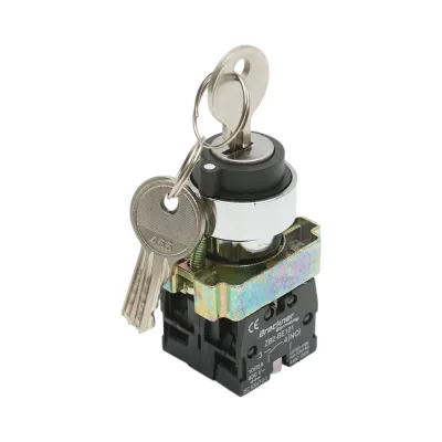 Selector 3 pozitii cu retinere si cheie 2NO, 400V/10A, LAY5-BG53 Breckner Germany - imagine 2