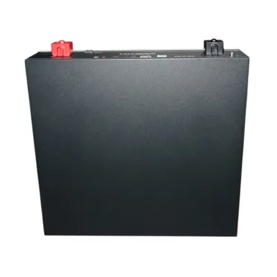 Baterie Li-ion 5.12kWh LiFePO4 51.2V, 100Ah cu functie autoincalzire DL5.0C Dyness 558x545x150mm - imagine 4