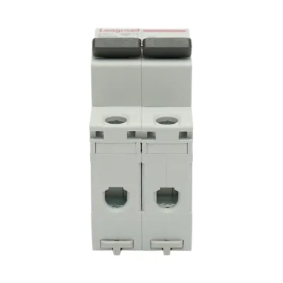 Siguranta automata intrerupator MCB 2P 20A 415VAC Longroad - imagine 2