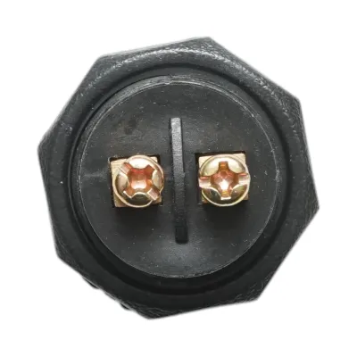 Buton pornire 12V/10A–24V/5A negru cu 2 pini universal - imagine 4