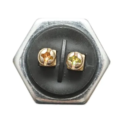 Buton pornire 12V/10A–24V/5A rosu cu 2 pini universal - imagine 4