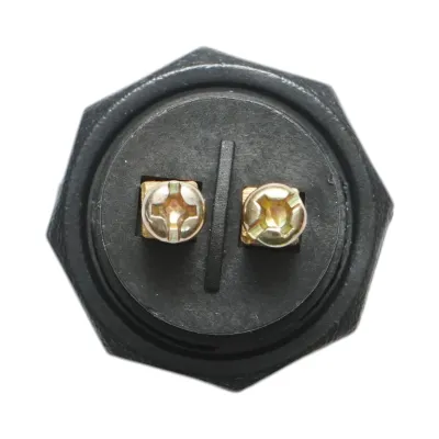 Buton pornire 12V/10A–24V/5A alb cu 2 pini universal - imagine 5