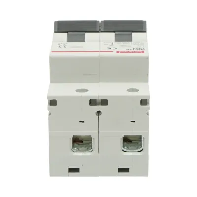 Siguranta automata intrerupator MCB 2P, 100A, 415VAC, 6kA Longroad - imagine 3