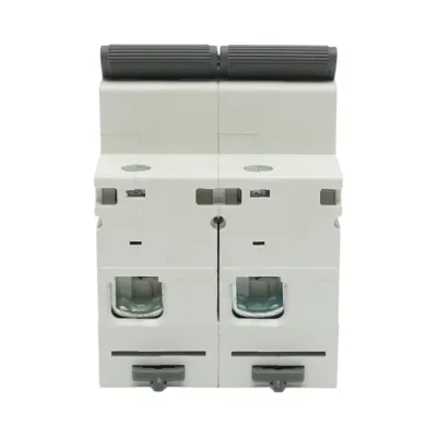 Siguranta automata intrerupator MCB 2P, 100A, 415VAC, 6kA Longroad - imagine 5