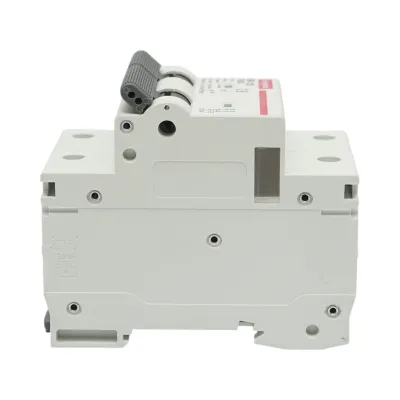Siguranta automata intrerupator MCB 2P, 100A, 415VAC, 6kA Longroad - imagine 2