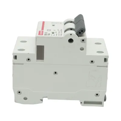 Siguranta automata intrerupator MCB 2P, 100A, 415VAC, 6kA Longroad - imagine 4