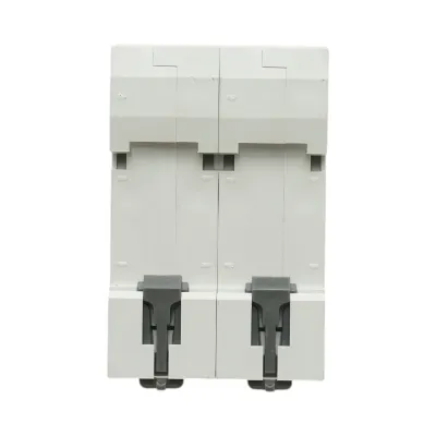 Siguranta automata intrerupator MCB 2P, 100A, 415VAC, 6kA Longroad - imagine 6