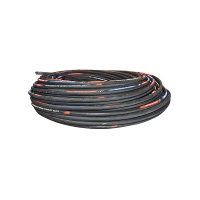 Furtun hidraulic 2SN 3/4-DN19 - imagine 4