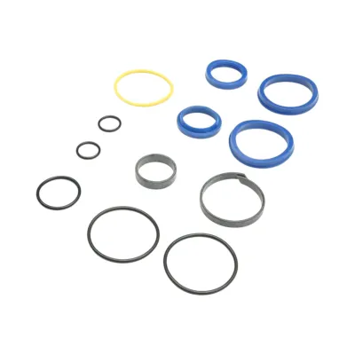 Kit garnituri reparatie cilindri hidraulici RA01, RA02, RA03, RA70, RA74, RA76, RA78 - imagine 3