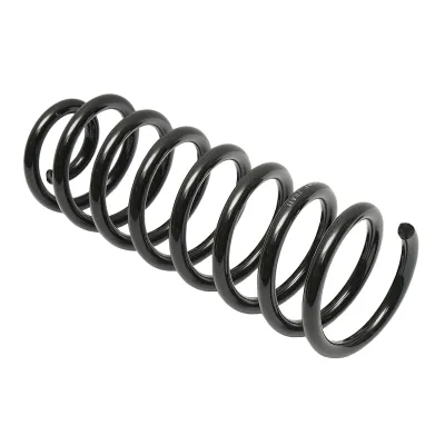 Arc spate Dacia Logan 6001547493 - imagine 2