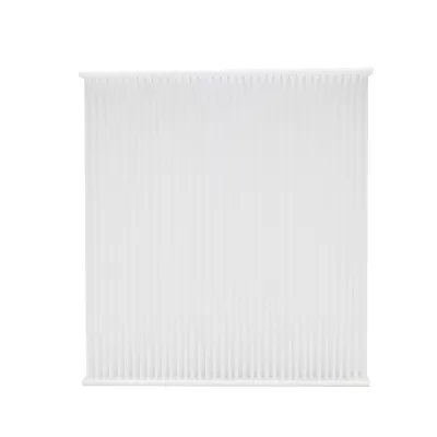 Filtru polen A/C Dacia Logan model nou II restilizat 272773016R