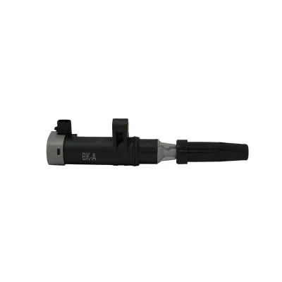 Bobina inductie Dacia Logan si Duster 16 16V 8200568671