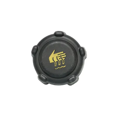 Buson/capac cu supapa presiune vas expansiune Dacia Papuc 1.9 Diesel, Super Nova, Solenza, Logan II, Dokker, Lodgy, Duster 8200048024 - imagine 3