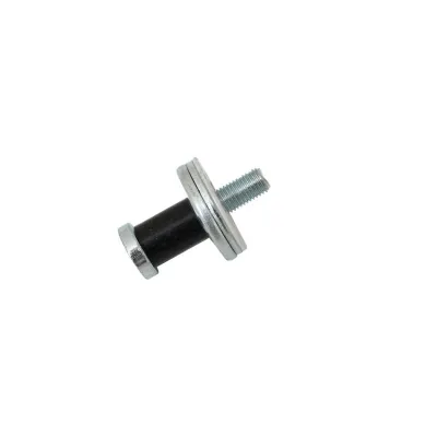 Surub reglaj si blocare usa Dacia Logan cu bucsa teflon (cremaliera broasca) 6001548677