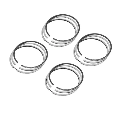 Segmenti Dacia Solenza si Papuc 1.9D 80mm 2x2x3mm 6001545274 - imagine 2