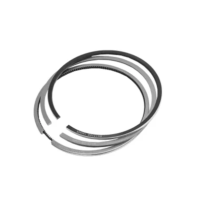 Segmenti Dacia Solenza si Papuc 1.9D 80mm 2x2x3mm 6001545274 - imagine 4