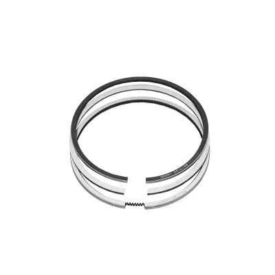 Segmenti Dacia Solenza si Papuc 1.9D 80mm 2x2x3mm 6001545274 - imagine 3