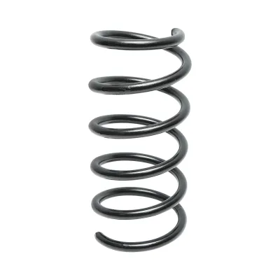 Arc roata spate Dacia Solenza 6001546935