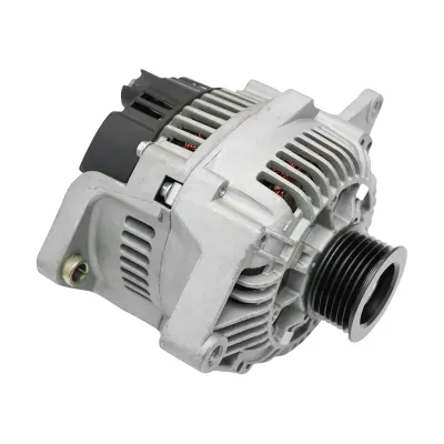 Alternator pentru Dacia Papuc 1.9D 110 Ah 8200193100