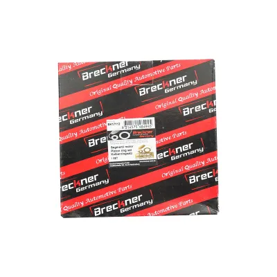Segmenti piston motor pentru Dacia Papuc 1.9D R1 Breckner Germany - imagine 2