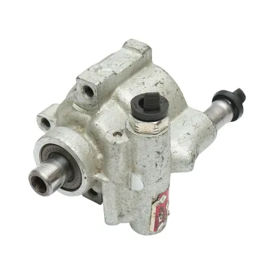 Pompa servodirectie pentru Dacia Logan 1.4-1.6 cod OEM 491108694R