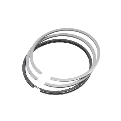 Segmenti piston fi 100mm 2.5x2.5x5.5mm pentru Fiat Iveco 1909172 - imagine 3