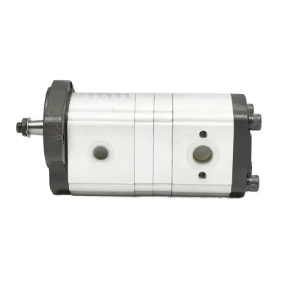 Pompa hidraulica dubla Massey Ferguson OEM  3611854M91 - imagine 2
