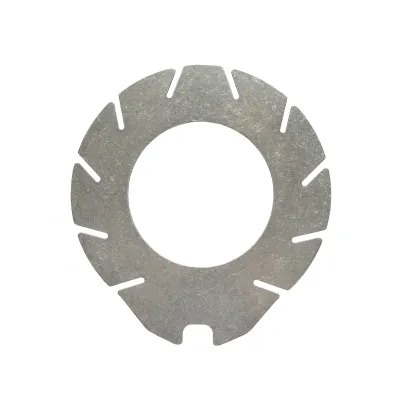 Disc frana intermediar cu diametru exterior 230mm pentru Landini, Massey Ferguson, Case IH 1860965M1