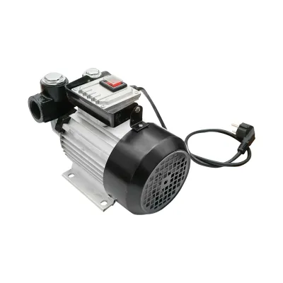 Pompa transfer motorina 220V 550W debit 60L/min Breckner Germany - imagine 3