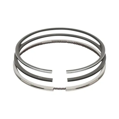 Segmenti pentru Fiat, New Holland cod OEM 1902050, 82982153, 1930169, 1908738 Breckner Germany