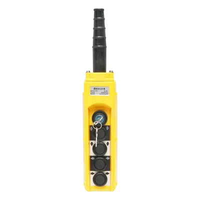 Telecomanda industriala cu 4 comenzi si contact general cu cheie 12V Breckner Germany