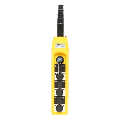 Telecomanda industriala cu 6 comenzi si contact general cu cheie 380V Breckner Germany