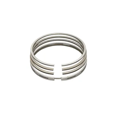 Set segmenti pentru motor Perkins NPR Fi 101mm, 2,38x2,38x2,38x6,35mm