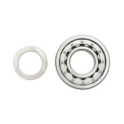 Rulment transmisie pentru Fiat, New Holland, Case IH cod OEM 5125376, 5138660 Breckner Germany 