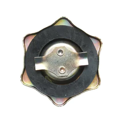 Buson ulei motor pentru FIAT, New Holand cod OEM 4232606, 87694763, 98418980, 04232606, 576001, 98418980N - imagine 3