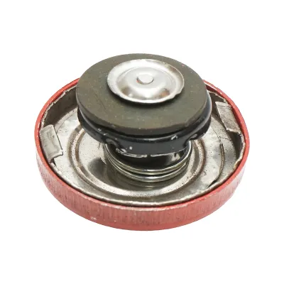 Buson radiator Massey Ferguson cod OEM 24850017, 24850020, 3637301M1, 3637939M1, 885344M1, PER24850020, 151-3 - imagine 2