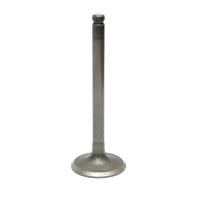 Supapa admisie Massey Ferguson cod OEM 3142H002, 746823M1