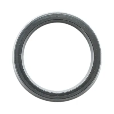 Simering transmisie Fiat, New Holland, Case IH 7x24x31mm cod OEM 4985295 - imagine 2