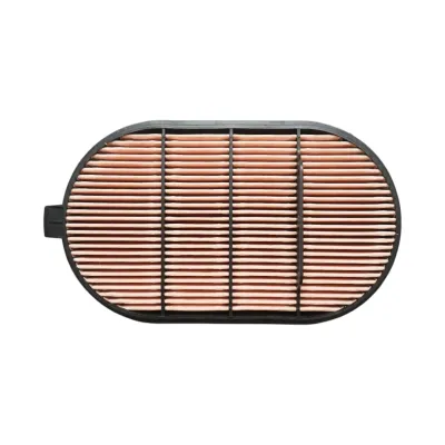 Filtru aer interior Deutz, Fendt, Lamborghini, Massey Ferguson, Same 320x189x40mm cod OEM 3685267M1 - imagine 2