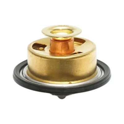 Termostat John Deere 54x38mm cod OEM RE528652