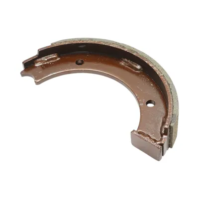 Sabot frana Fendt 30x190mm cod OEM H205100150010 - imagine 4