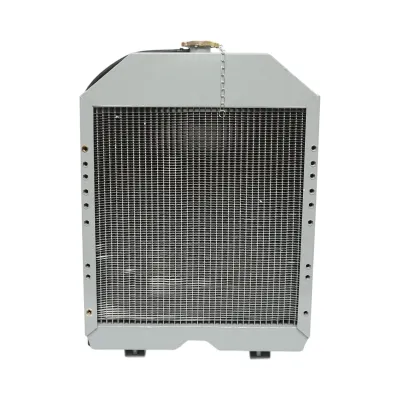 Radiator racire apa motor Landini, Massey Ferguson 630x475x87mm cod OEM 1824627M91, 1824627M93 - imagine 3