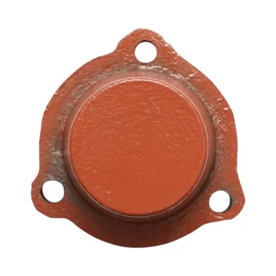 Capac butuc plug PP4  - imagine 2