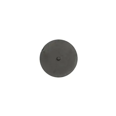 Membrana corp diuza erbicidator 21,84mm, grosime 1,36mm - imagine 3