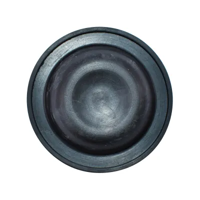 Membrana mica cu palarie fi 90 pompa erbicidator P-100 - imagine 2