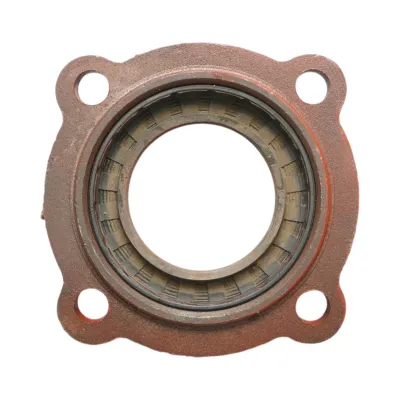 Capac exterior lagar disc, diametru interior 135mm - imagine 4