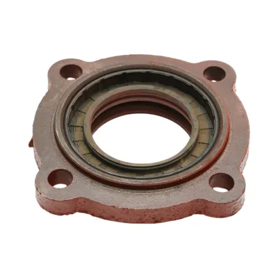 Capac exterior lagar disc, diametru interior 135mm - imagine 3